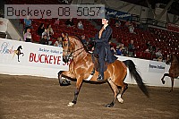 buckeye_08_5057 proof