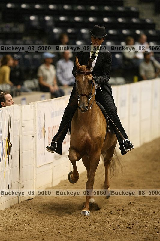Proof buckeye_08_5060