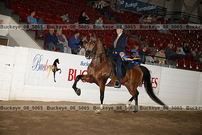 Proof buckeye_08_5065