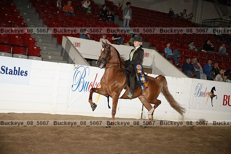 Proof buckeye_08_5067