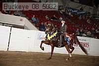 buckeye_08_5082 proof