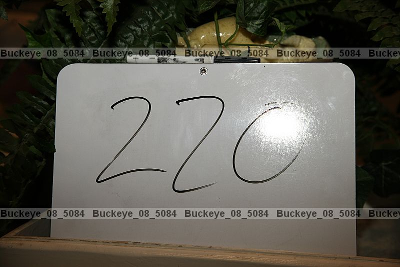 Proof buckeye_08_5084