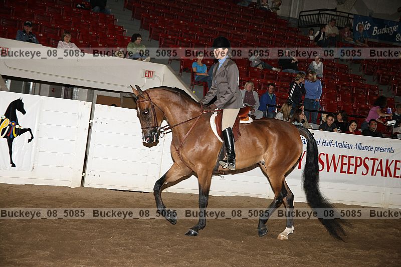 Proof buckeye_08_5085