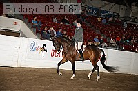 buckeye_08_5087 proof