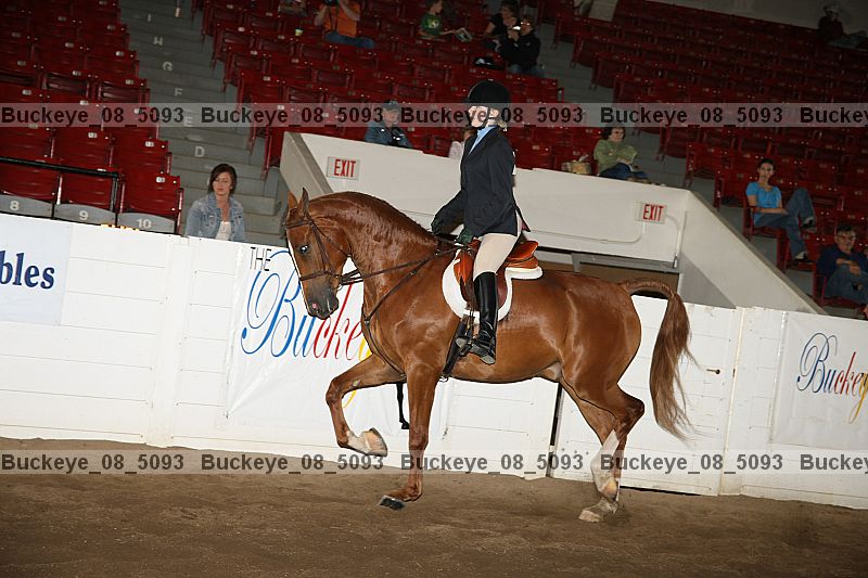 Proof buckeye_08_5093