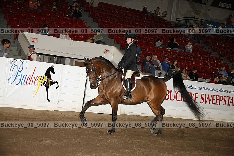 Proof buckeye_08_5097
