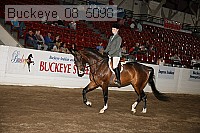 buckeye_08_5098 proof