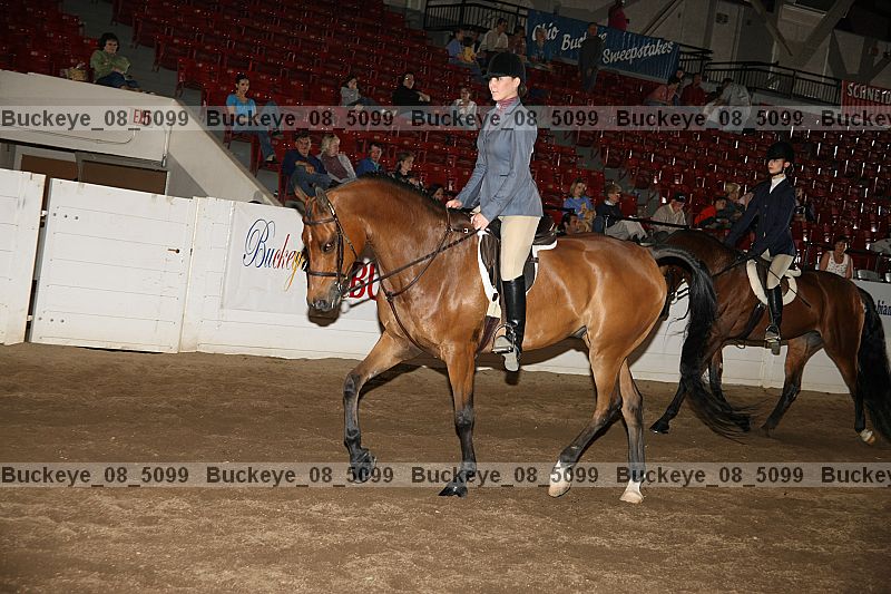 Proof buckeye_08_5099