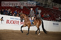 buckeye_08_5105 proof