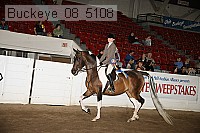 buckeye_08_5108 proof