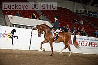 buckeye_08_5110 proof