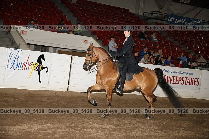 Proof buckeye_08_5120