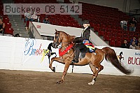 buckeye_08_5142 proof