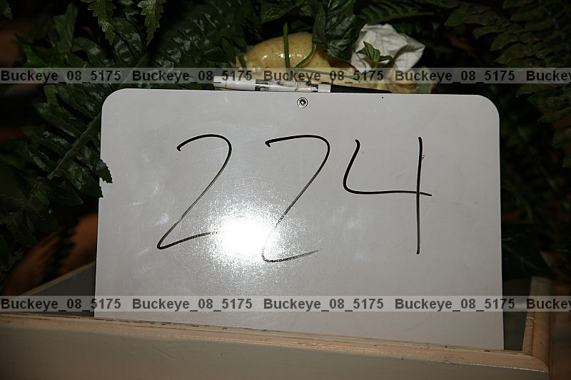Proof buckeye_08_5175
