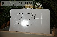 buckeye_08_5175 proof