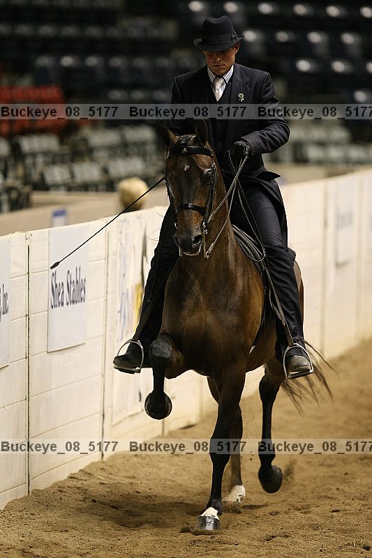Proof buckeye_08_5177
