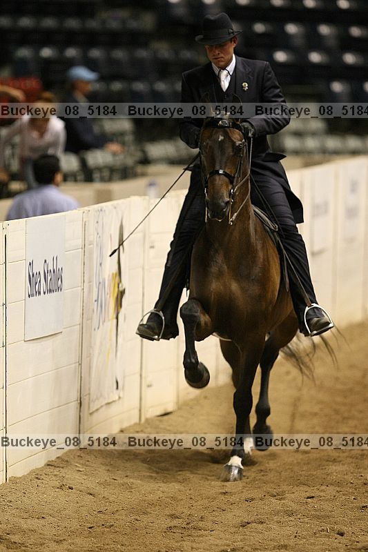 Proof buckeye_08_5184