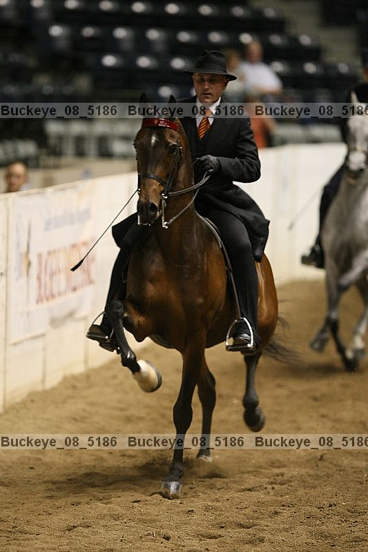 Proof buckeye_08_5186