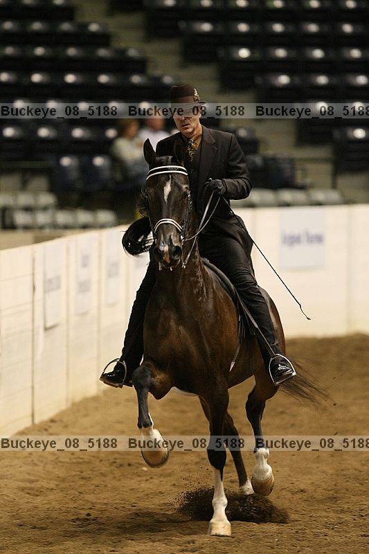 Proof buckeye_08_5188