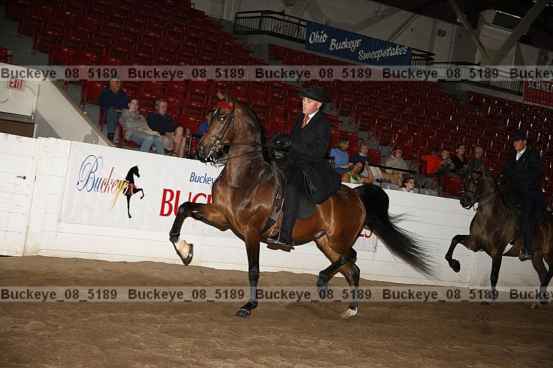 Proof buckeye_08_5189