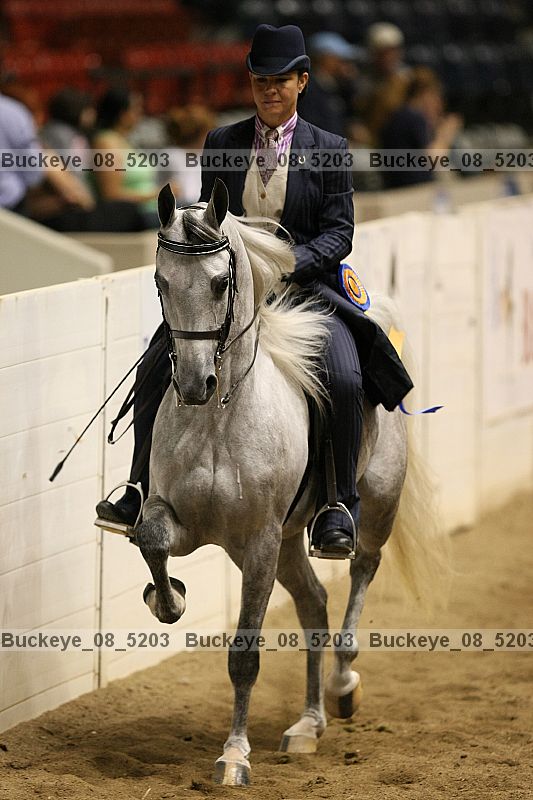 Proof buckeye_08_5203
