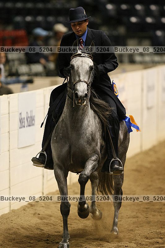 Proof buckeye_08_5204