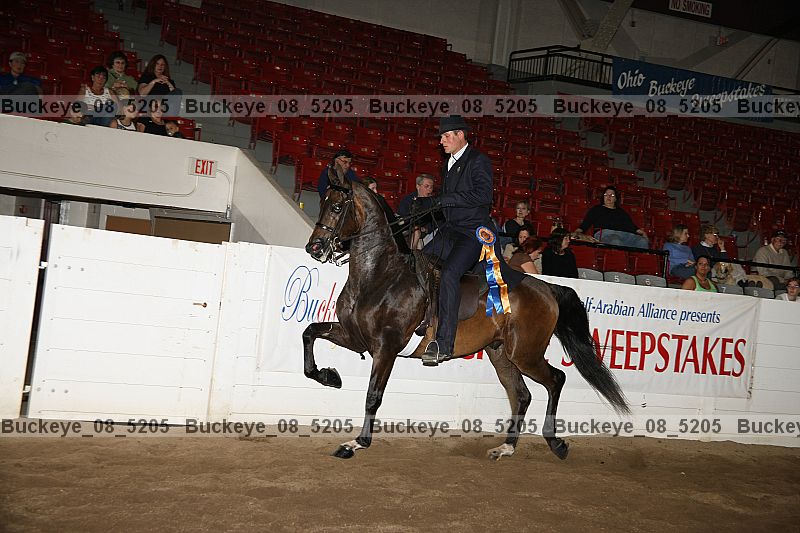 Proof buckeye_08_5205