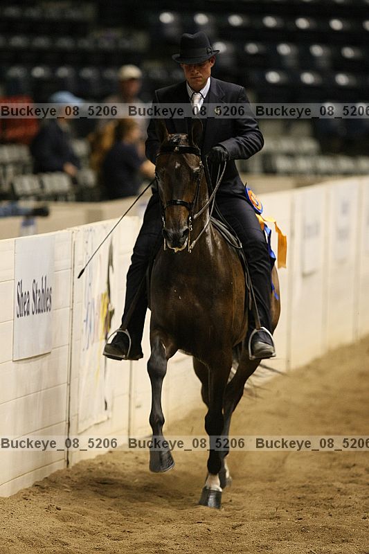 Proof buckeye_08_5206