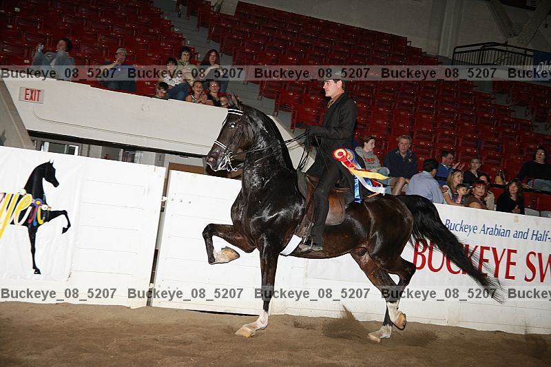 Proof buckeye_08_5207