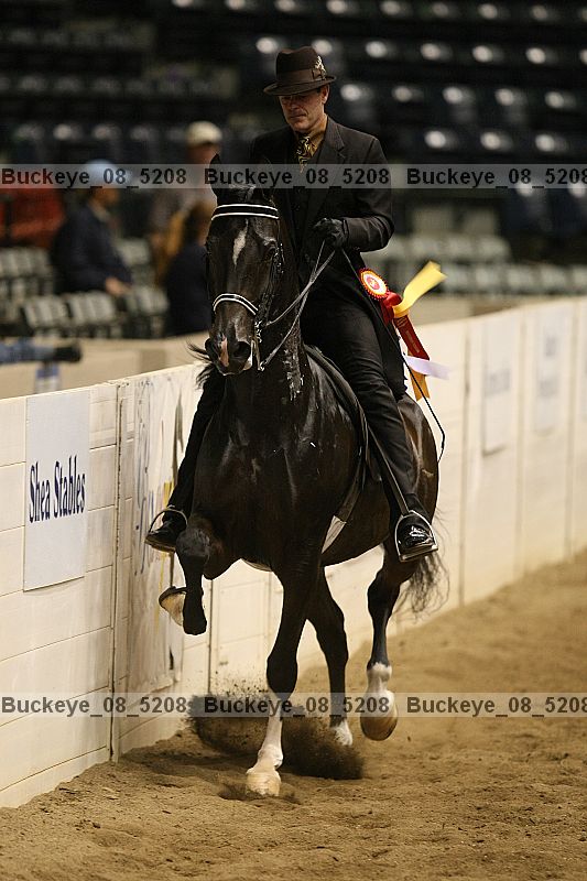 Proof buckeye_08_5208