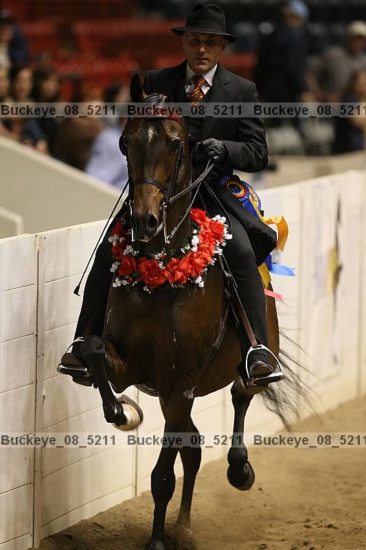 Proof buckeye_08_5211
