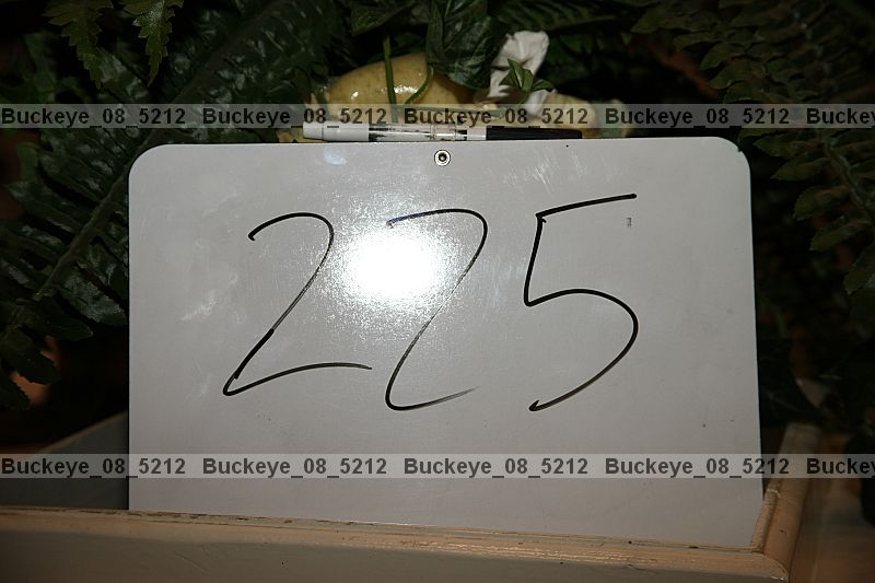 Proof buckeye_08_5212