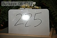 buckeye_08_5212 proof