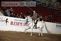 buckeye_08_5216 proof