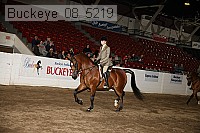 buckeye_08_5219 proof
