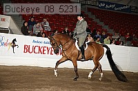 buckeye_08_5231 proof