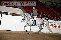buckeye_08_5236 proof