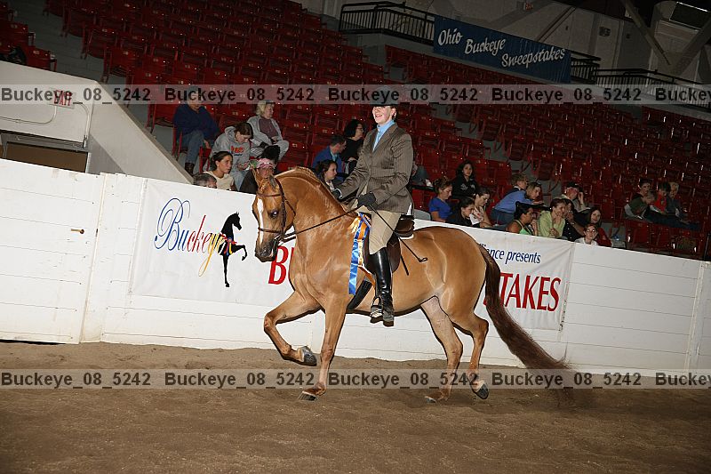 Proof buckeye_08_5242