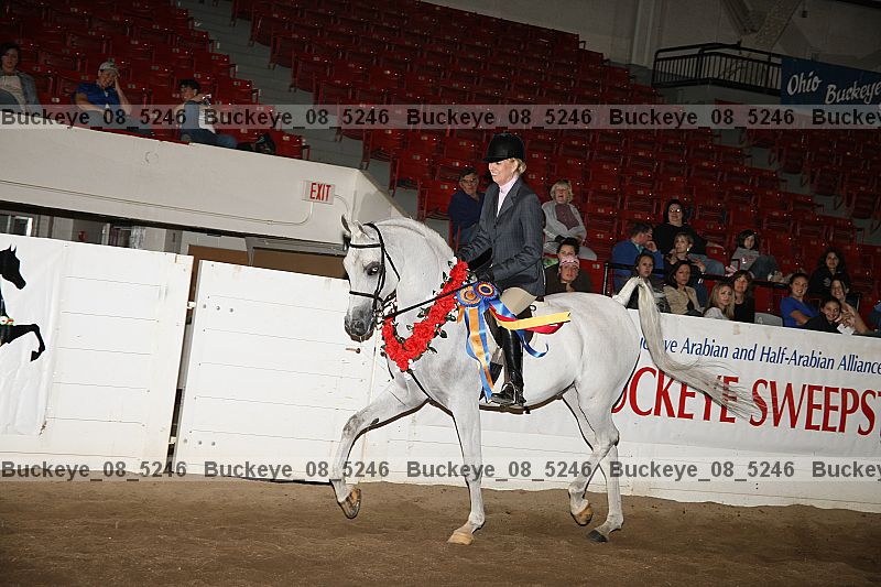 Proof buckeye_08_5246
