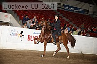 buckeye_08_5261 proof