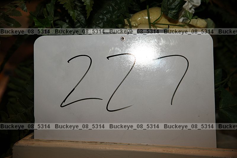 Proof buckeye_08_5314