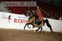 buckeye_08_5326 proof