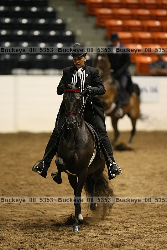 Proof buckeye_08_5353