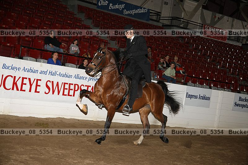 Proof buckeye_08_5354