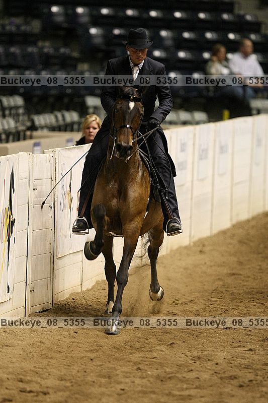 Proof buckeye_08_5355