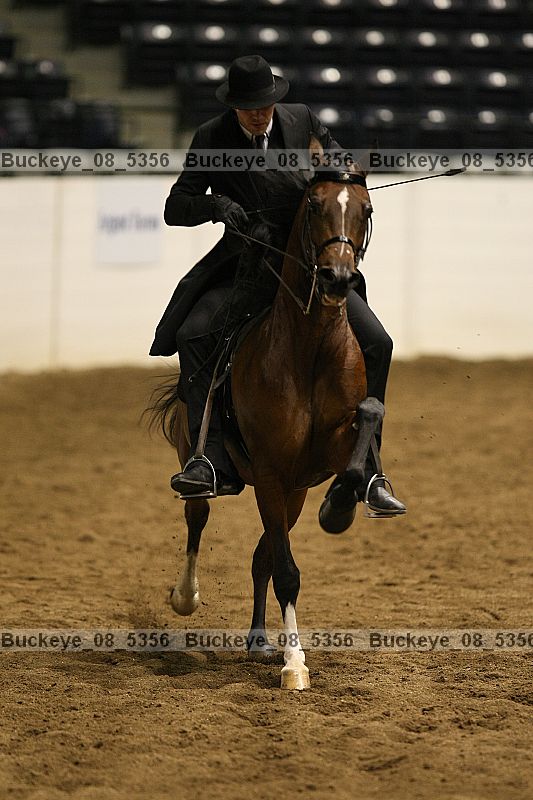 Proof buckeye_08_5356