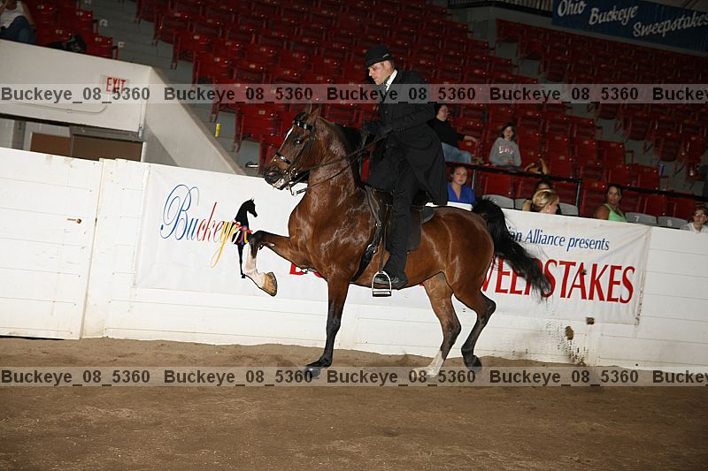Proof buckeye_08_5360