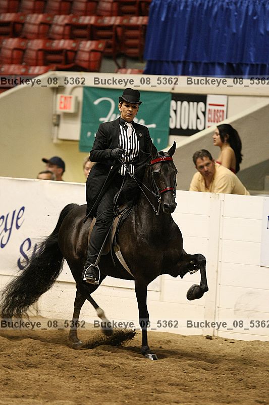Proof buckeye_08_5362