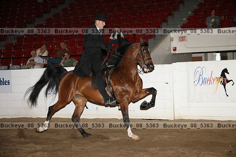 Proof buckeye_08_5363