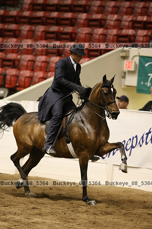Proof buckeye_08_5364